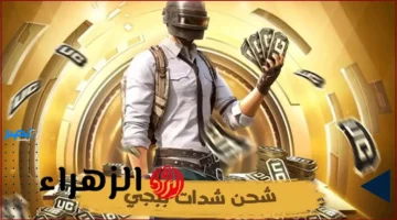 18000 شدة هدية.. اطلق العنان لقوتك في ببجي مع شحن شدات UC عبر Midasbuy بسهولة فائقة